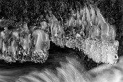 Wakeena Creek Ice 13-3673 bw